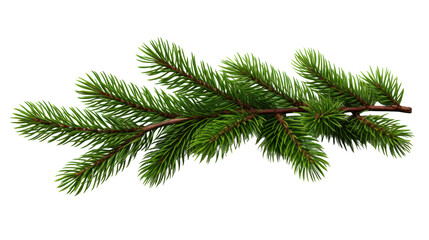 close-up of a green pine branch with needles, isolated on a white background, perfect for holiday an