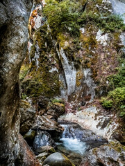 Image from Cheile Butii gorge, near Campu lui Neag, Hunedoara,  Romania