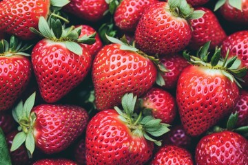 Wall Mural - Close-up fresh juicy strawberries texture background