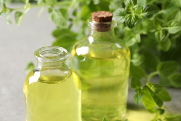 Wall Mural - Essential oil in bottles and oregano twigs on light table, closeup