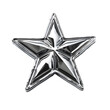 © Daniel - chrome 3d military star on white background