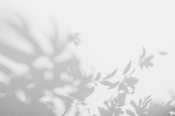 Poster - leaf shadow and tree branch background, shadows overlay effect foliage mockup. natural tropical leav