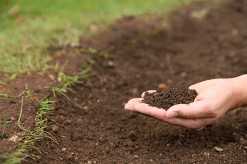 Wall Mural - Woman holding pile of soil outdoors, closeup. Space for text