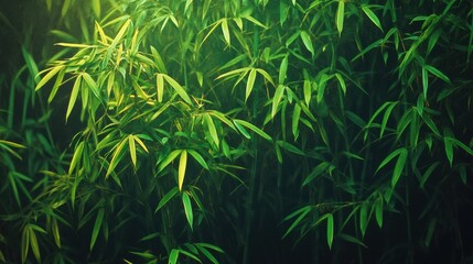 Wall Mural - A close up of a green plant with some leaves on it, AI