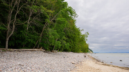 Coast on Ruegen on a cloudy day in summer