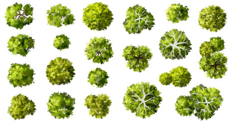 Wall Mural - vector set of top view green tree for outdoor plan or map and architecture drawing, elements for env