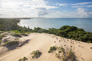 Wall Mural - Sand dunes on coast