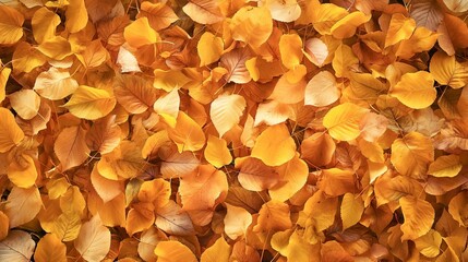 Poster - Golden autumn leaves background seamless pattern copy space