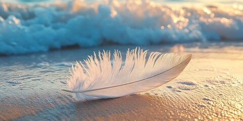 Canvas Print - White Feather on Sandy Beach with Waves in the Background - Photo