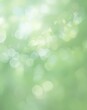 © PHOTOS  STORY - spring bokeh background， Soft blurred green leaves background with gentle gradients of green