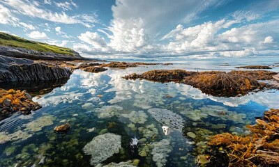 Canvas Print - a body of water surrounded by rocks and plants