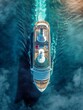 © Anastasiia K. - big cruise ship in the sea or in the ocean, top view