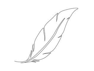 Wall Mural - Continuous one line drawing of exotic bird feather. Feather single line vector illustration. Editable line vector.