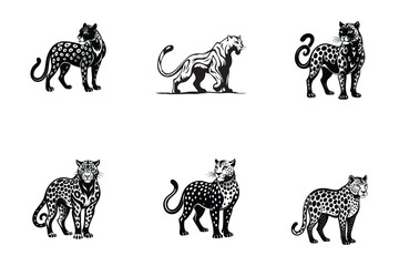 Wall Mural - set of leopard vector art silhouette logo icon design black and white 