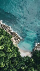 Wall Mural - Aerial View of a Tropical Beach