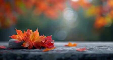 Wall Mural - Colorful Autumn Leaves on Weathered Wood During Fall Season