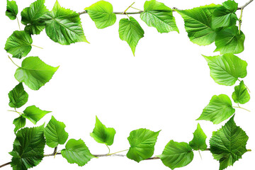 Wall Mural - Green Leaves Frame Isolated – Natural Cutout Border