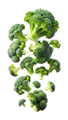 Fresh broccoli florets and stems, transparent