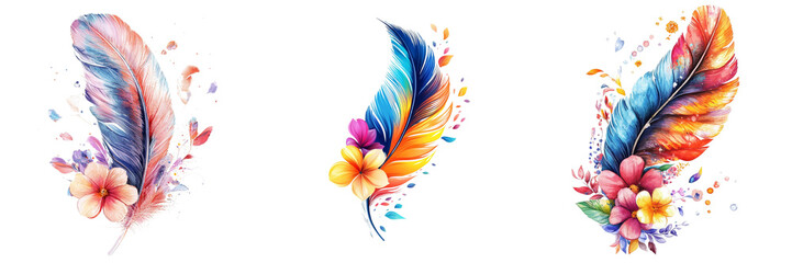 Wall Mural - Set off feather with flowers isolated on a transparent background