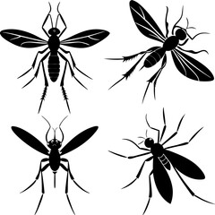  black Mosquito silhouette vector illustration