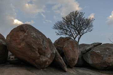 Shravanabelagola is one of the most visited Jain pilgrimage sites in South India.