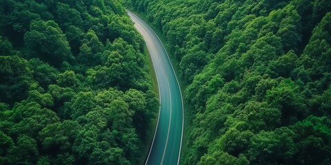 An enchanting aerial view captures a winding asphalt road elegantly framed by a vibrant green forest, beautifully showcasing the breathtaking wonder of nature found in the serene countryside