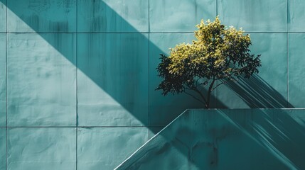 Poster - A tree is growing in front of a blue wall, perfect for use in interior design, architecture, or minimalist art