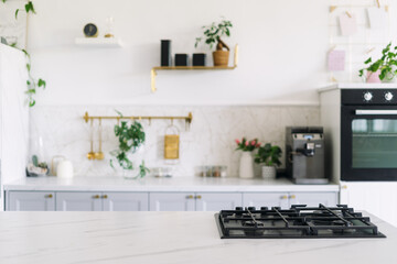 Wall Mural - Modern kitchen with gas stove and plants in a stylish home interior