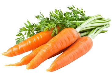 Wall Mural - A bunch of carrots with green leaves. The carrots are orange and are arranged in a row. Concept of freshness and healthiness, as carrots are a nutritious vegetable