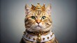 © sarinya - Royal cat wearing a golden crown and elegant costume, cat, royal, crown, costume, elegant, feline, regal, pet, dressed up, majestic