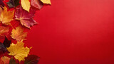 Fototapeta Pokój dzieciecy - Autumn leaves on red paper background with copy space