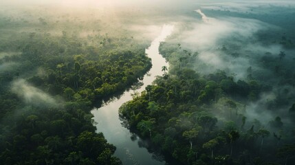 Wall Mural - aerial views of the Amazon River on a foggy sunrise