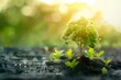 © Creative Laik - Plant with recycle sign on nature background. Eco friendly concept.