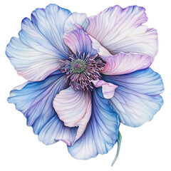 Poster - PNG Elegant blue flower with soft pastel hues