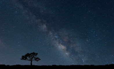 Wall Mural - panorama blue night sky milky way and star on dark background.universe filled with stars, nebula and
