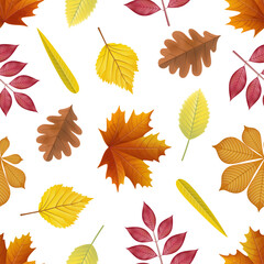 Wall Mural - seamless texture with fall leaves. autumn pattern 