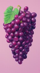 Poster - A vibrant illustration of a bunch of purple grapes with a green leaf on a pink background.