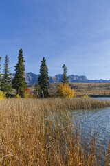 Wall Mural - Talbot Lake in the Fall