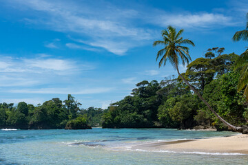 Tropical Beach Paradise with Palm Trees, Turquoise Clear Water, and Blue Sky - Perfect Island Vacation Destination for Relaxation, Sunshine, and Exotic Coastal Scenery in an Unspoiled Caribbean Resort