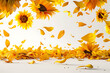 © Creative Laik - Beautiful sunflowers with petals falling on table, closeup