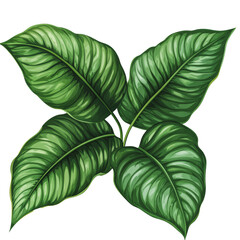 Poster - PNG Symmetrical green leaves on white background