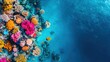 © CHA - Bright coral reef, seen from above, displaying its full splendor