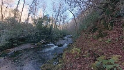 Sticker - Deep Creek Flows Down Mountain in the Smokies