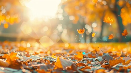 Wall Mural - Vibrant autumn foliage in sunlit park with bokeh effect, orange and golden leaves background