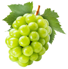 Wall Mural - sweet green grape with leaves isolated on white, shine muscat grape isolated on white background wit