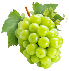 Wall Mural - sweet green grape with leaves isolated on white, shine muscat grape isolated on white background wit