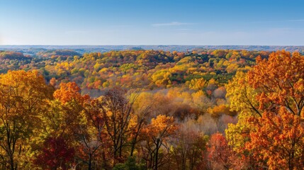 Wall Mural - A scenic overlook of rolling hills covered in brilliant autumn foliage, with trees showcasing a spectrum of fall colors against a clear blue sky