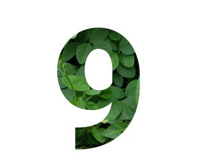 Design number  9 with leaf texture on white background