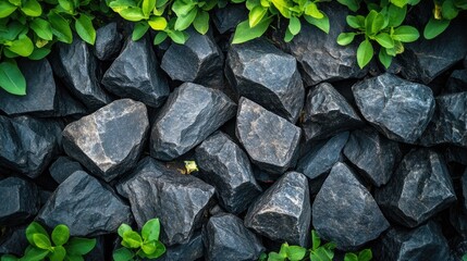 Wall Mural - Close-up of grey rocks with green leaves around the edges.