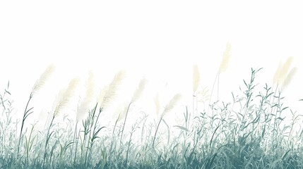 Wall Mural - A field of tall grass with feathery white blooms against a white background.